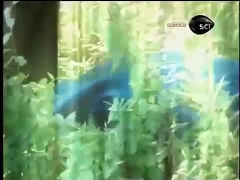 INVESTIGADORES PSÍQUICOS - CÍRCULOS DE INIMIGOS