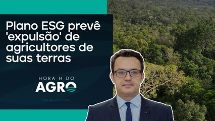 Governo vai transformar 10% das áreas agrícolas em florestas | HORA H DO AGRO
