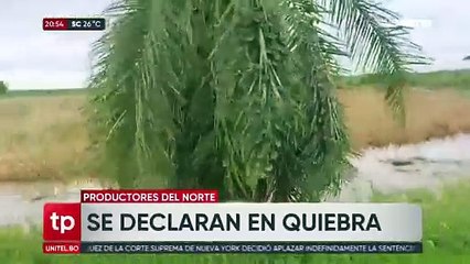 Falta de diésel golpea al agro cruceño