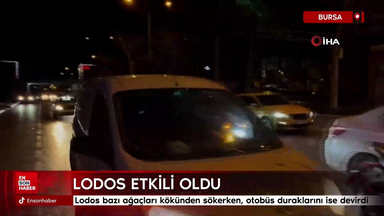 Bursa'yı lodos vurdu: Ağaçlar devrildi, durak yerinden söküldü