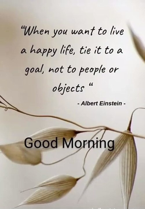Good Morning