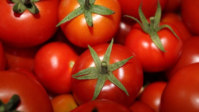 Khám phá khả năng phòng bệnh thần kỳ của cà chua