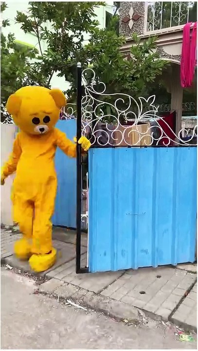 Funny video 2024