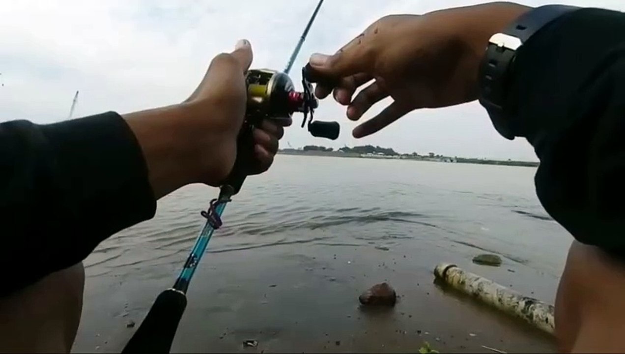 Ikan nya gede