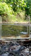 Pikirann jadi tenang