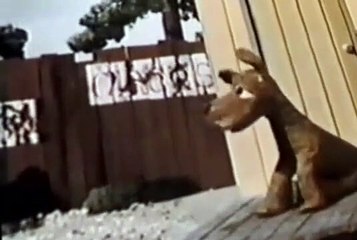 Davey and Goliath Davey and Goliath S01 E006 Cousin Barney