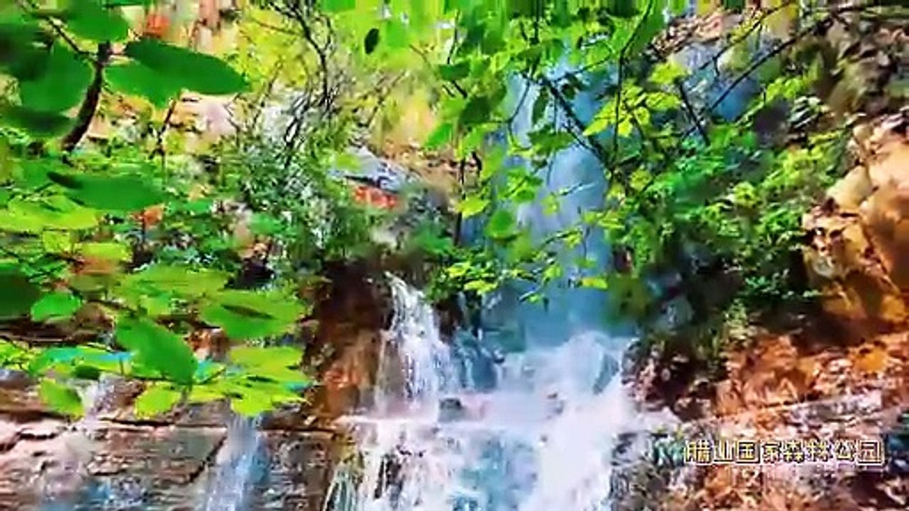 Insects singing, streams flowing, enjoy the freedom to “escape” the city, come to Lashan National Forest Park to chill!