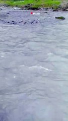 Warwan Valley a treasure of Jammu and Kashmir.