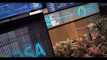 PARAYA GÖRE NASIL FON ALINMALI? Yatırım yapmak isteyenlere ilaç gibi rehber!