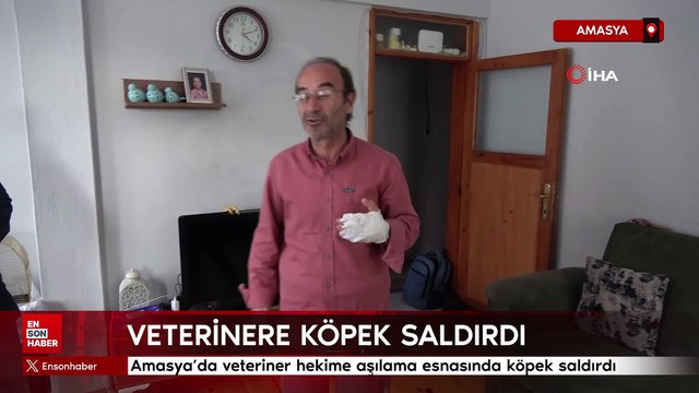 Amasya'da veterinere köpek saldırdı