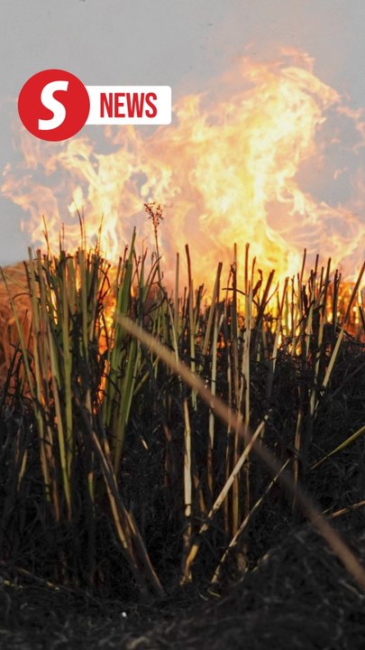 Farm fires raging in neighbouring Punjab as Delhi chokes on smog