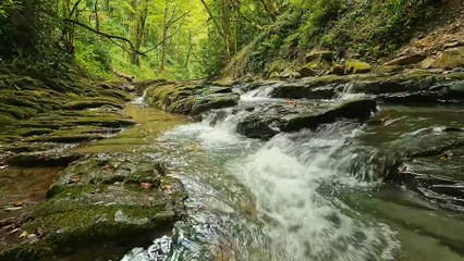 Morning Affirmations for Success