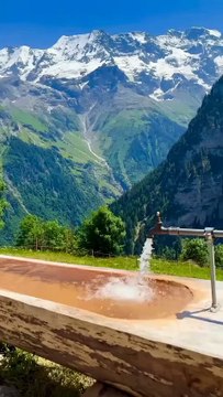 Discovering the extraordinary in the simplicity of nature | beauty of nature