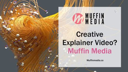 Explainer Videos for Startups