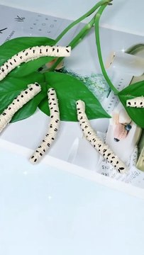 Easy craft ideas/ Miniature craft / Paper craft / How to make / DIY /School project/ Art and craft Kidz