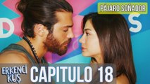 Pájaro soñador - Erkenci Kuş Capitulo 18 (Audio Español) - Pájaro soñador - Erkenci Kus (720p, h264, youtube)