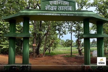 प्रवासी पक्षियों से गुलजार हुआ अमरावती का मेंढर तालाब