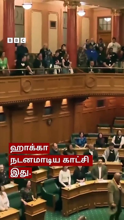 Newzland Parliement