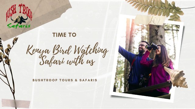 Kenya Bird Watching Safari With Bushtroop Tours & Safaris