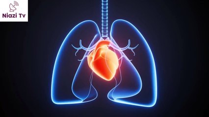 Why Does Smog Hit Lahore Hardest in October & November_