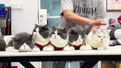 Douyin-ghi lại cuộc sống tươi đẹp