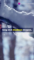 The Cold Embrace_ A Chilling Tale