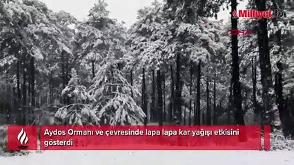 Aydos Ormanı'nda kar yağışı etkili oldu
