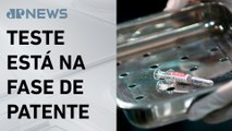 USP espera testar em humanos vacina contra malária