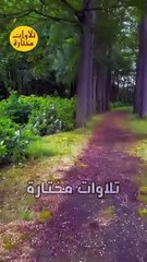#Quran #قرآن #قران_كريم اية الكرسى #عبدالباسط