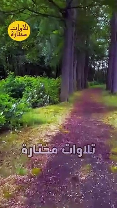 #Quran #قرآن #قران_كريم اية الكرسى #عبدالباسط