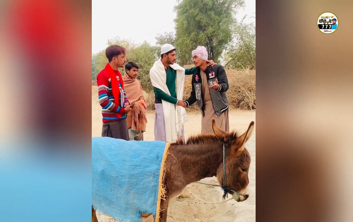 Entertainment funny video 2024