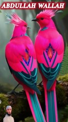 surah yaseen 1 create #shorts #viralvideo #shortsvideo #shortfeed #NatureInspiredByQuran #bird