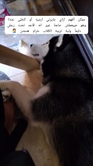 ملقتش ونس أحسن منك 🤍🌹