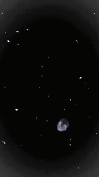 Reels Verical Background - Violet - Markifyup Creations