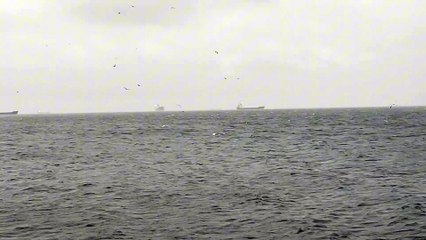 Karadeniz’deki fırtına yük gemilerini limana çekti