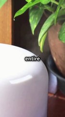 Unboxing the NAMSTE Aroma Diffuser Machi 2024-11-23
