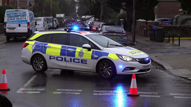 Storm Bert brings tree down in Worthing