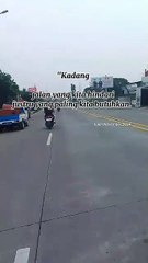 kata kata motivasi