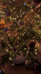 Η ανάρτηση της Ελεονώρας Μελέτη στο  Instagram