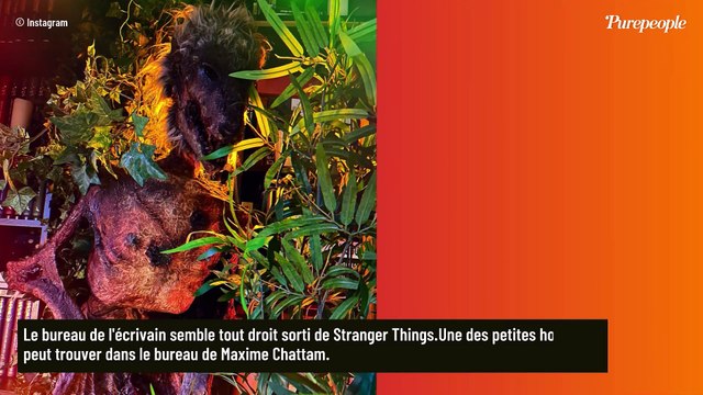 Bienvenue dans la maison de Faustine Bollaert et Maxime Chattam : une caméra a pu pénétrer dans leur antre si particulier