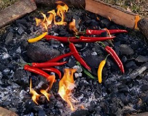 Campfire сooking: delicious outdoor recipes you’ll love!