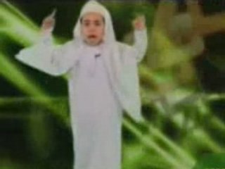 felis islam