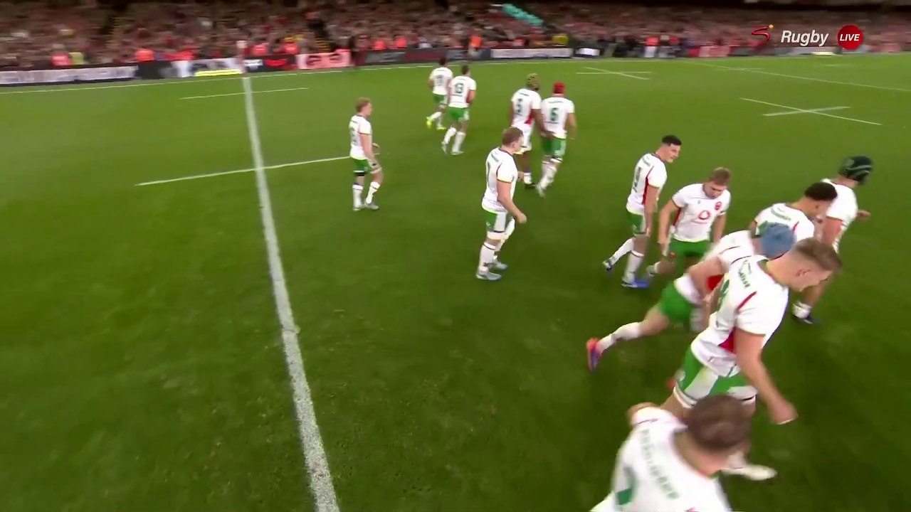 Wales - South Africa 23.11.2024