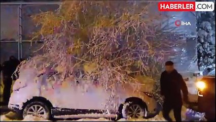 Bilecik'te Park Halindeki Otomobilin Üzerine Ağaç Devrildi