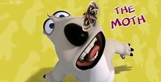Bernard Bernard S01 E029 The Moth