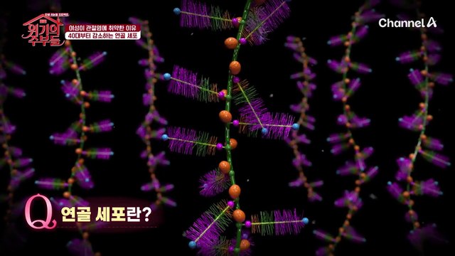 연골 세포 파괴를 막는 역할을 하는 여성 호르몬! 관절 건강을 악화하게 되는 '갱년기'