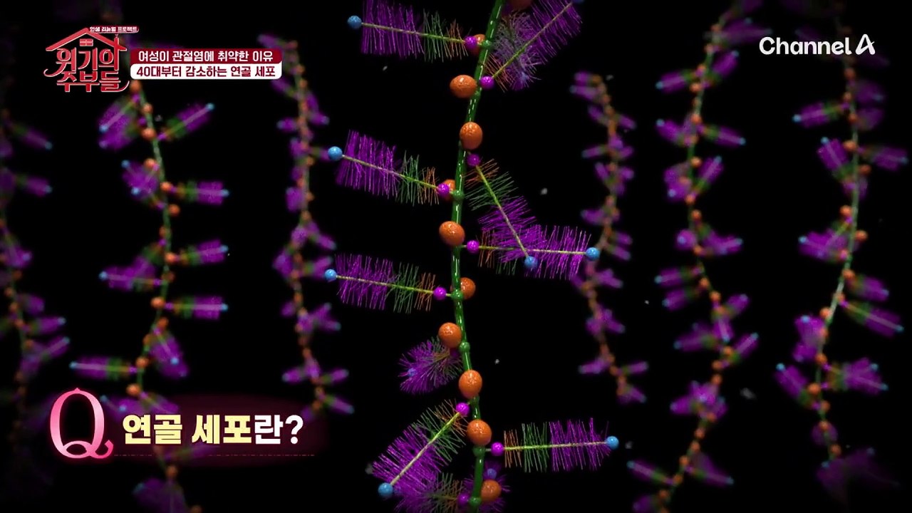 연골 세포 파괴를 막는 역할을 하는 여성 호르몬! 관절 건강을 악화하게 되는 '갱년기'