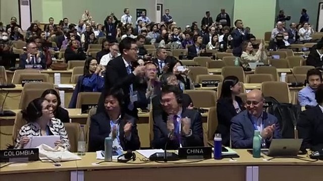 COP29 aprueba USD 300.000 millones anuales para países en desarrollo