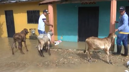 Alerta roja en San Martín, Cesar, por el desbordamiento de los ríos Táchira y Lebrija