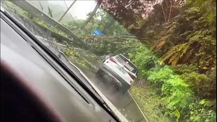 FALLEN TREES, FLOODING. MORE RAIN TOMORROW